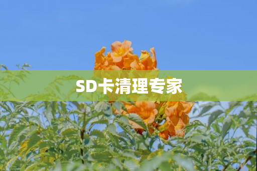 SD卡清理专家