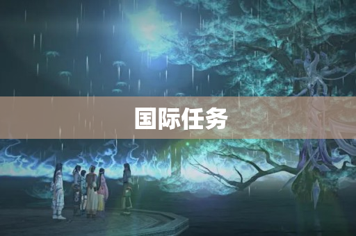  国际任务