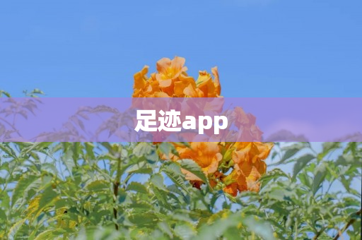 足迹app
