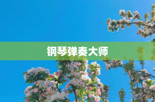 钢琴弹奏大师