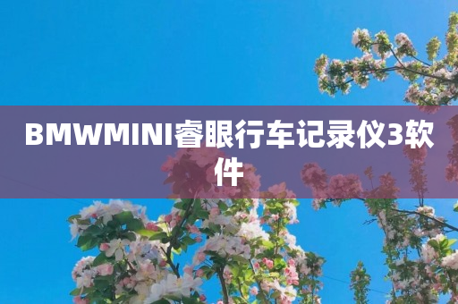 BMWMINI睿眼行车记录仪3软件
