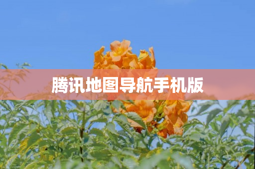 腾讯地图导航手机版