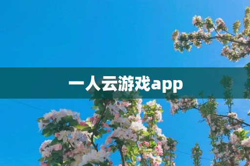 一人云游戏app