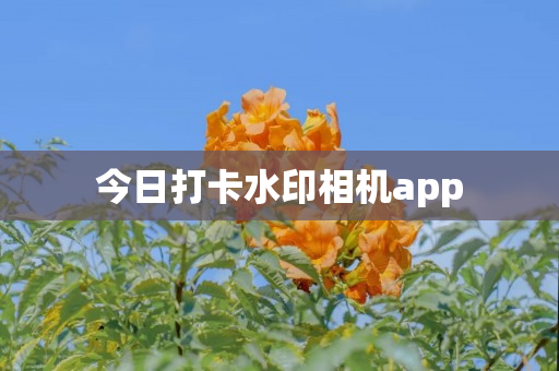 今日打卡水印相机app
