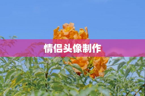 情侣头像制作