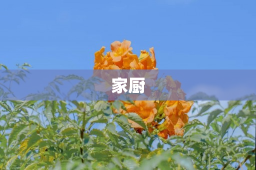 家厨