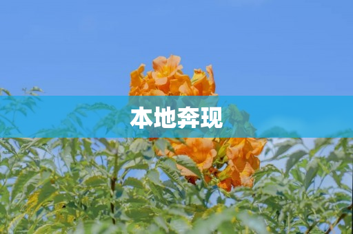 本地奔现