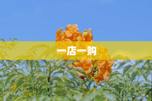 一店一购