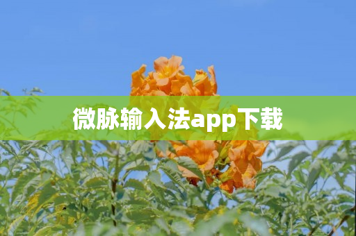 微脉输入法app下载