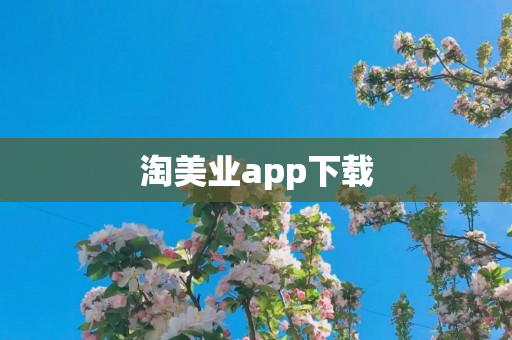 淘美业app下载