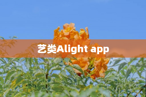 艺类Alight app