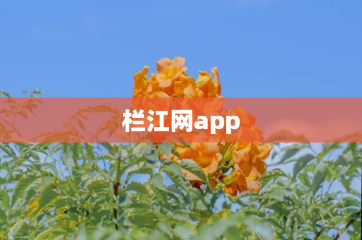 栏江网app
