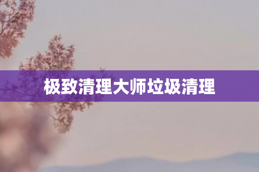 极致清理大师垃圾清理
