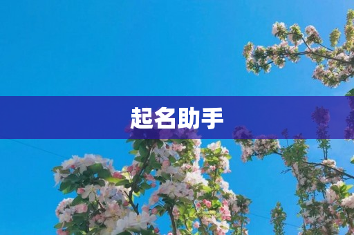 起名助手