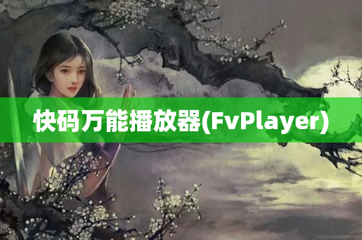 快码万能播放器(FvPlayer)