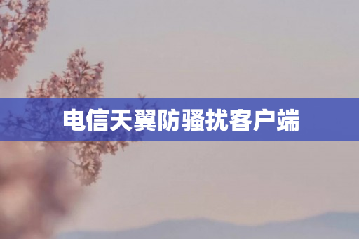 电信天翼防骚扰客户端