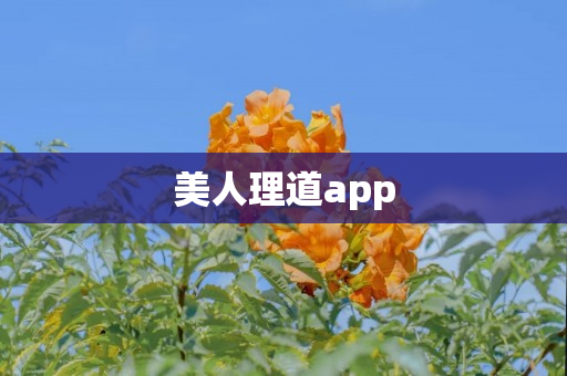 美人理道app