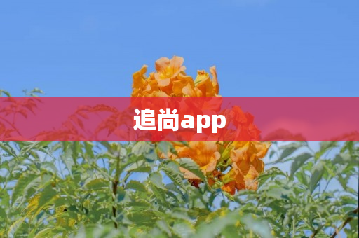 追尚app