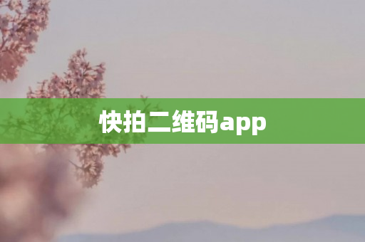 快拍二维码app