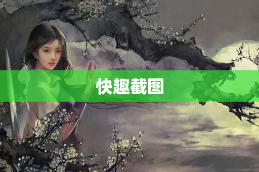 快趣截图
