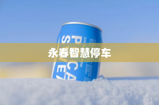 永春智慧停车