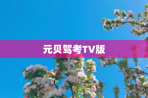 元贝驾考TV版