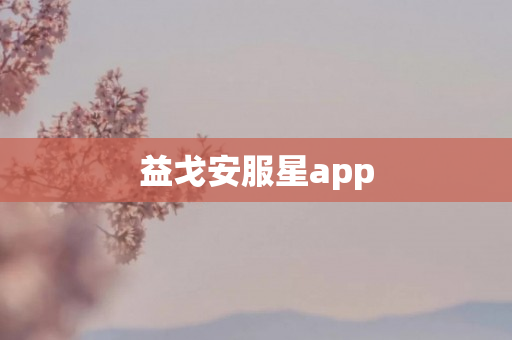 益戈安服星app