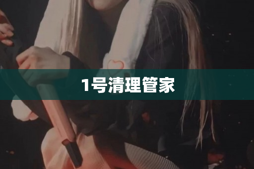 1号清理管家