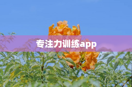 专注力训练app