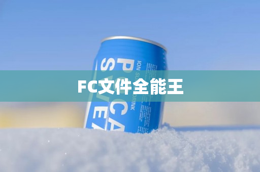 FC文件全能王