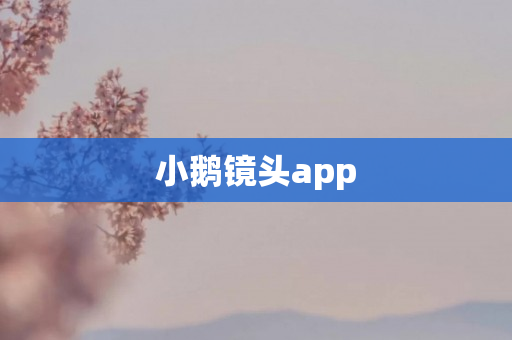 小鹅镜头app