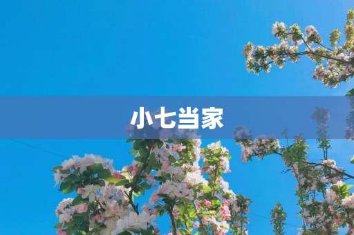小七当家