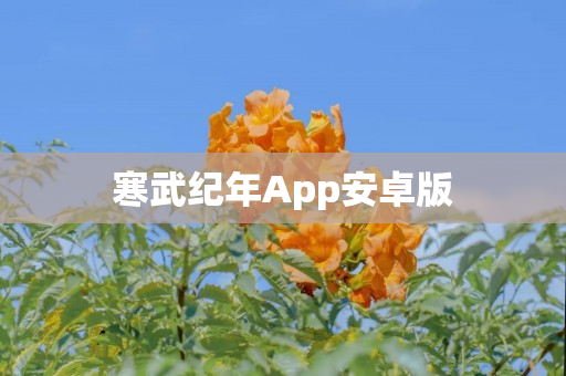 寒武纪年App安卓版