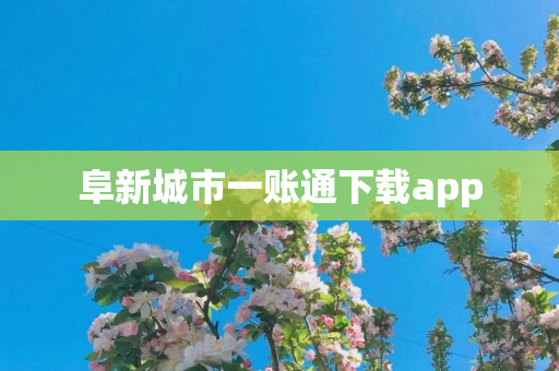 阜新城市一账通下载app