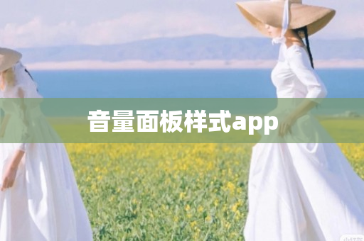 音量面板样式app