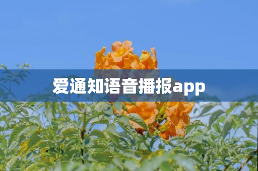 爱通知语音播报app