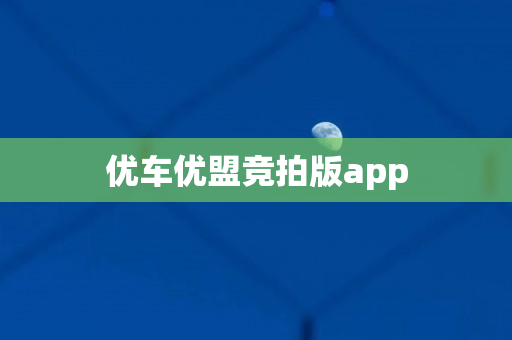 优车优盟竞拍版app