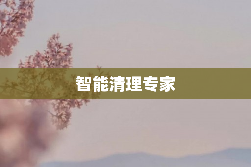 智能清理专家