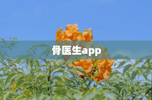 骨医生app