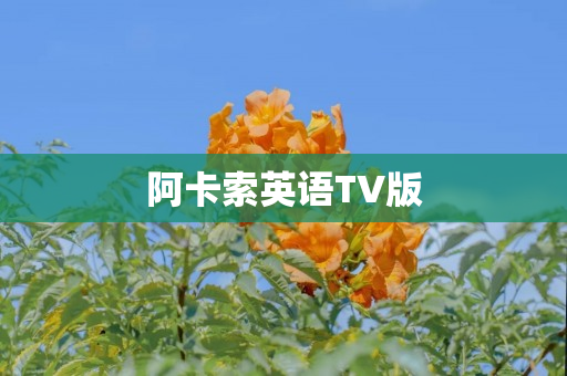 阿卡索英语TV版