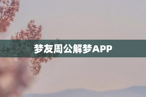梦友周公解梦APP