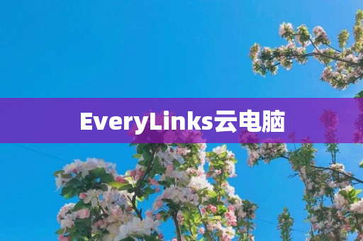 EveryLinks云电脑