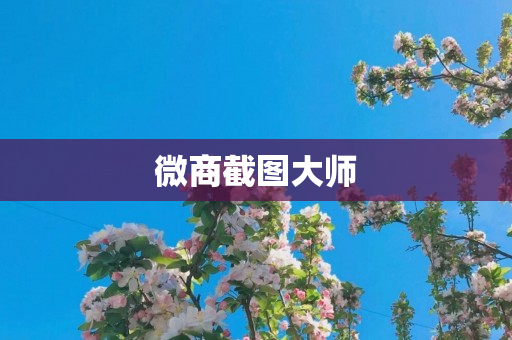 微商截图大师