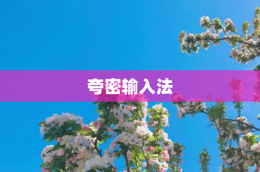 夸密输入法