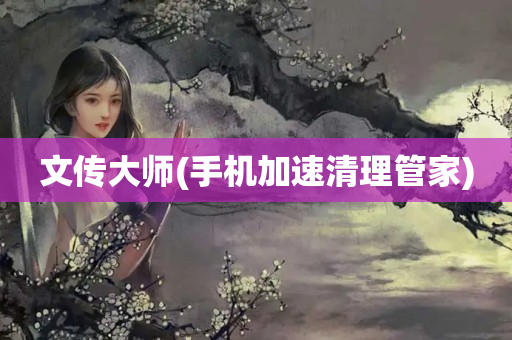 文传大师(手机加速清理管家)