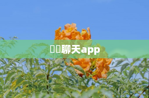 冾冾聊天app