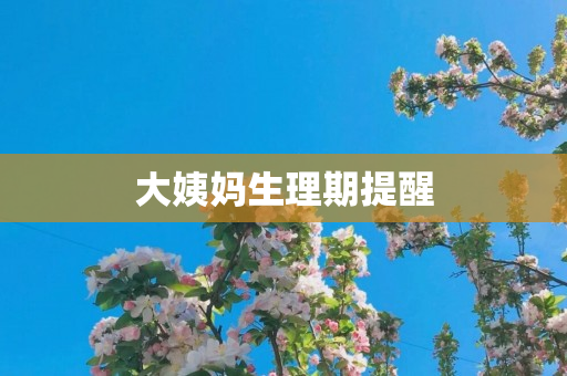 大姨妈生理期提醒