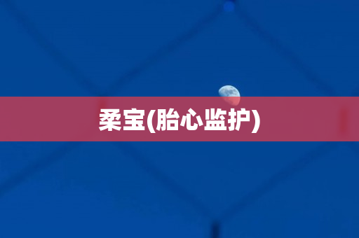 柔宝(胎心监护)