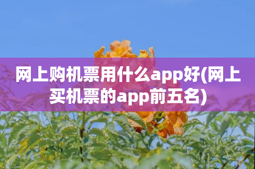 网上购机票用什么app好(网上买机票的app前五名)