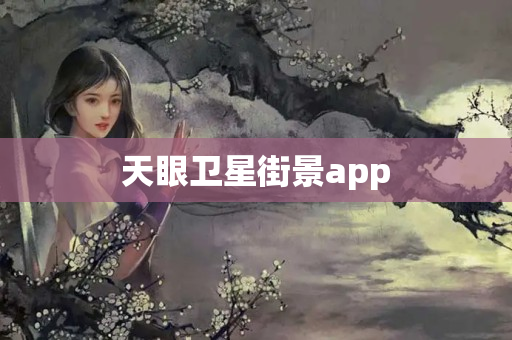 天眼卫星街景app